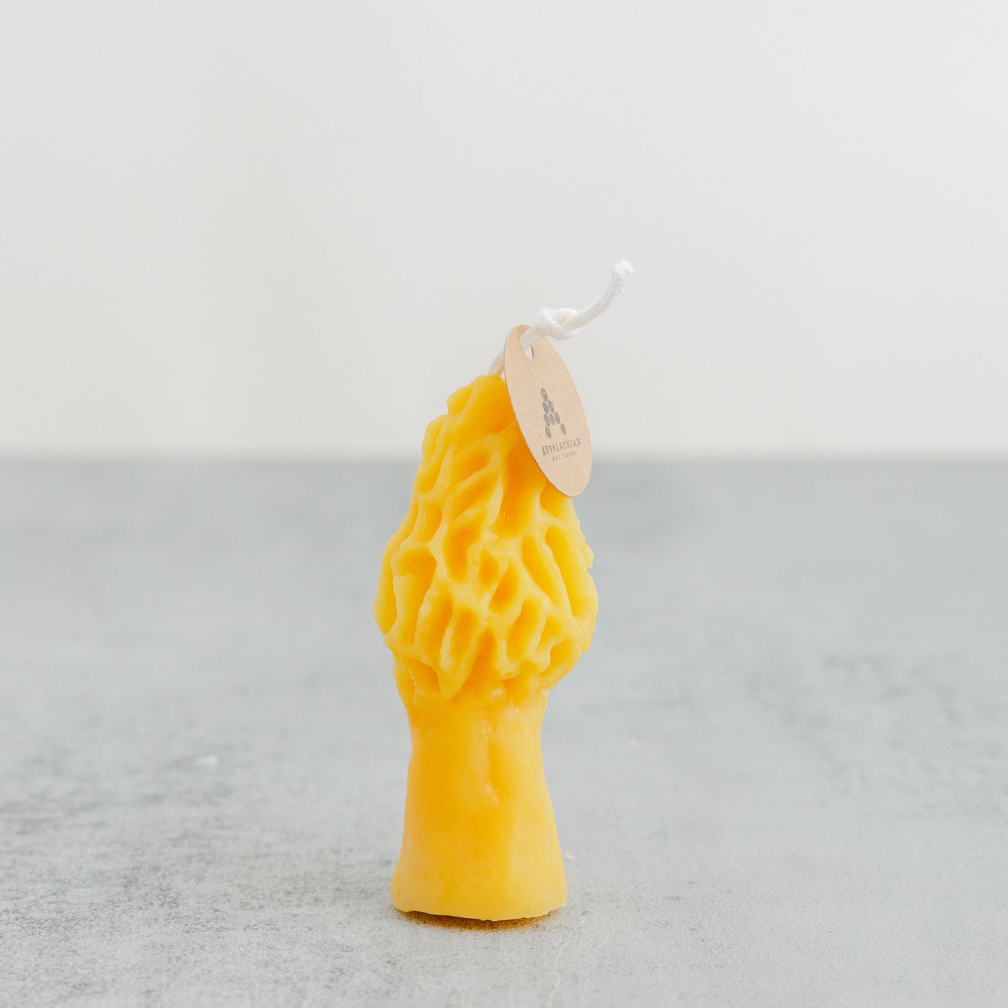 Morel Mushroom Beeswax Candles