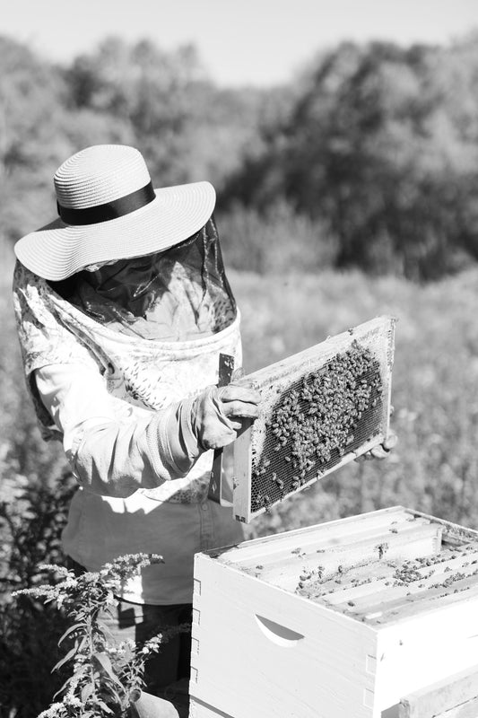 appalachian-beekeeper-garrett-county-maryland
