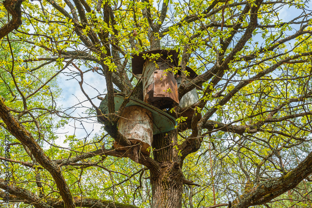 Cultivating Community: The Legacy of Appalachian Beekeeping and Artisan Collaboration