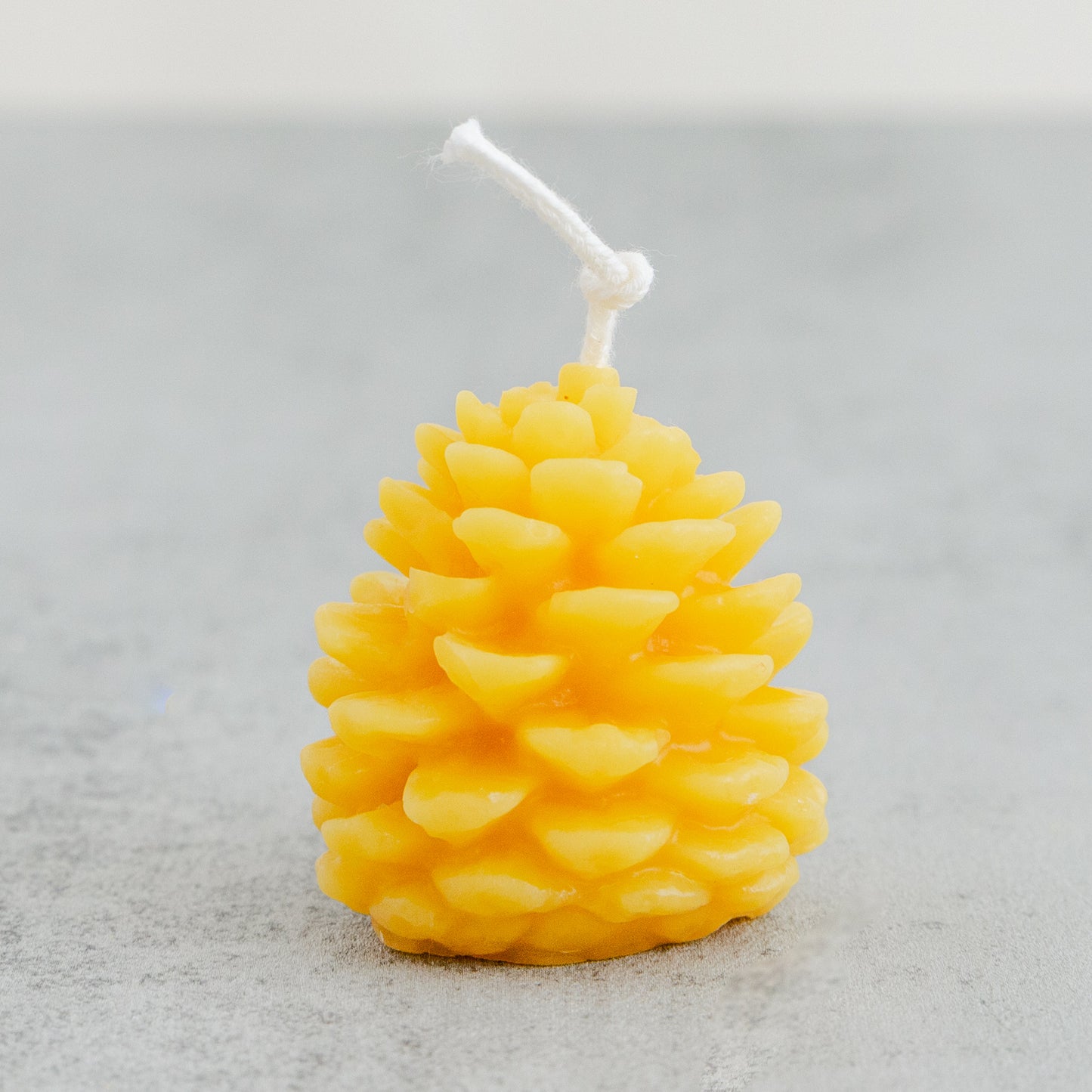 Beeswax Pinecone - Small