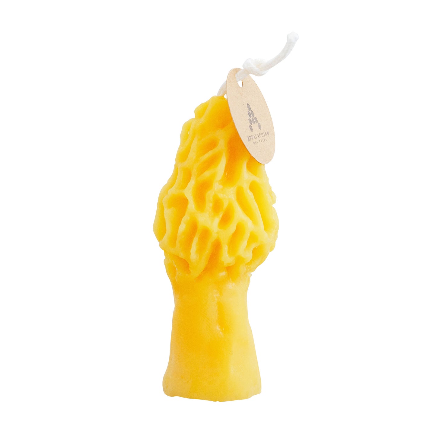 Morel Mushroom Beeswax Candles