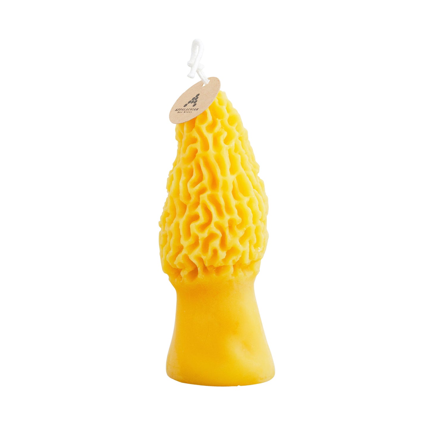 Morel Mushroom Beeswax Candles