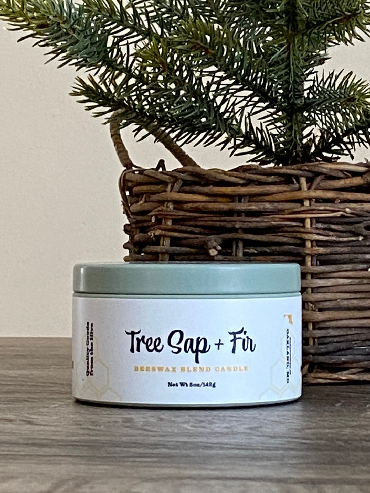 Tree Sap + Fir Small Tin Candle - Appalachian Wax Works